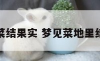 梦见蔬菜结果实 梦见菜地里结了果实