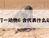 合打一动物6 合代表什么动物