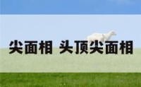 尖面相 头顶尖面相