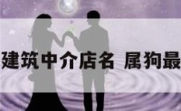 属狗女旺财建筑中介店名 属狗最旺财的名字