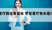 梦到客厅西北角冒水 梦见客厅有水是什么意思