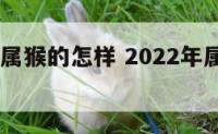 2022年属猴的怎样 2022年属猴的运气如何