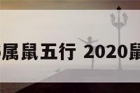2016属鼠五行 2020鼠五行