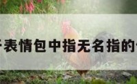 关于表情包中指无名指的信息