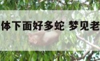 梦见老公身体下面好多蛇 梦见老公身体下面好多蛇在爬