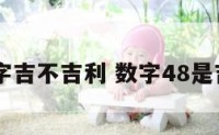 48数字吉不吉利 数字48是吉祥吗