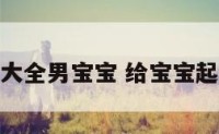给宝宝起名大全男宝宝 给宝宝起个名字男孩