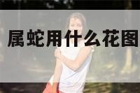 属蛇用什么花 属蛇用什么花图片微信头像合适