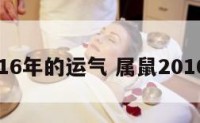属鼠2016年的运气 属鼠2016年运势
