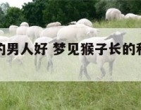 梦见属猴的男人好 梦见猴子长的和人一样全是男的