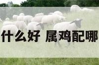 属鸡生肖配什么好 属鸡配哪个生肖最好
