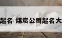 煤业公司起名 煤炭公司起名大全金水源