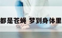 梦到身体里都是苍蝇 梦到身体里都是苍蝇虫