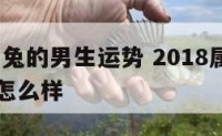 2018属兔的男生运势 2018属兔的男生运势怎么样