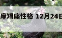12月24摩羯座性格 12月24日摩羯座性格