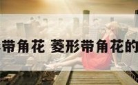 客厅菱形带角花 菱形带角花的铺贴图片