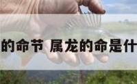 属龙的命节 属龙的命是什么命