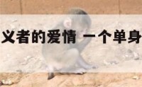 一个单身主义者的爱情 一个单身主义者的爱情小说