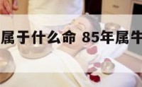 85属牛的属于什么命 85年属牛的属于啥命
