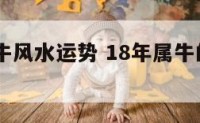 2018属牛风水运势 18年属牛的全年运程