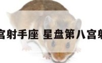 八宫射手座 星盘第八宫射手