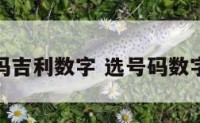 选号码吉利数字 选号码数字讲究