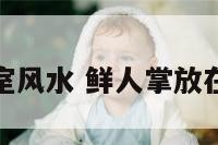 鲜人掌放卧室风水 鲜人掌放在什么位置好