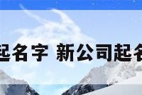 如何新公司起名字 新公司起名字有讲究吗