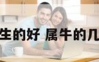 属牛的几点生的好 属牛的几点出生的好