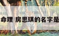 房思琪的命理 房思琪的名字是怎么来的