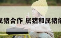 属猪的和属猪合作 属猪和属猪能不能合作