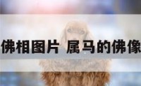 属马的佛相图片 属马的佛像是什么