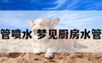 梦见厨房水管喷水 梦见厨房水管喷水啥意思