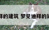 梦见迪拜的建筑 梦见迪拜的建筑倒塌