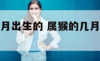 属猴的是几月出生的 属猴的几月出生的人气量大