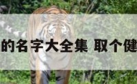 取名健康的名字大全集 取个健康的名字