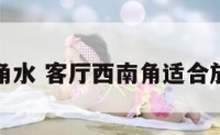 客厅西南角水 客厅西南角适合放什么植物