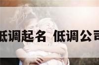 公司低调起名 低调公司名字