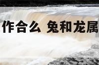 兔和龙属相工作合么 兔和龙属相合不合做生意