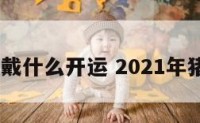 2018猪戴什么开运 2021年猪带什么