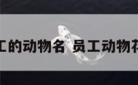 适合员工的动物名 员工动物花名职场