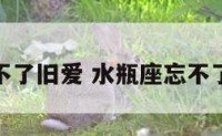 水瓶座忘不了旧爱 水瓶座忘不了旧爱的人