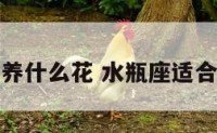 水瓶座女生养什么花 水瓶座适合养什么绿植