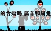 属羊和属兔的合婚吗 属羊和属兔在一起合适吗