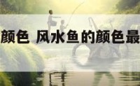 风水中鱼的颜色 风水鱼的颜色最好是什么招财