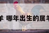 哪年生属羊 哪年出生的属羊人最好命