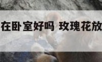 小玫瑰花放在卧室好吗 玫瑰花放在卧室好还是室外好