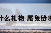 送属兔的人什么礼物 属兔给哪个属相最好