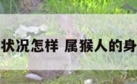 属猴的身体状况怎样 属猴人的身体健康状况