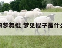 周公解梦舞棍 梦见棍子是什么意思